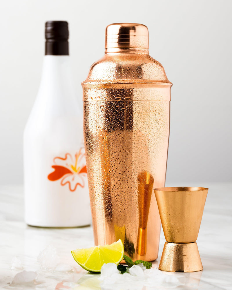 Cocktail Shaker Gift Set (8 Piece) - copperdirect